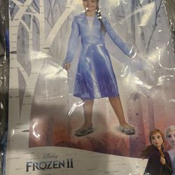 Frozen Costume 