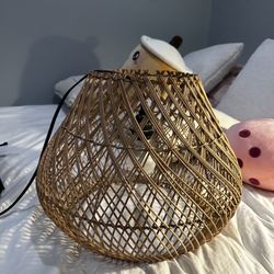 Hanging Light