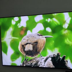 Samsung 55" Class Q90T QLED 4K UHD HDR Smart TV