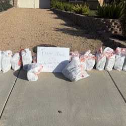 Free Music CDs Out On the Circuit For The Next 2 Hours 