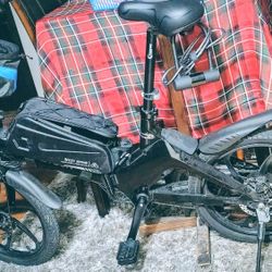 E-bike Electric Folding Hidden Battery