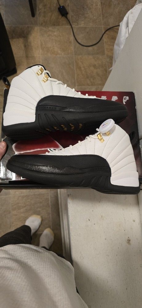 Jordan Retro 12 CDP 2007 