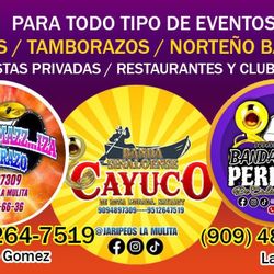 Banda Disponibles Tamborazo (contact info removed) 