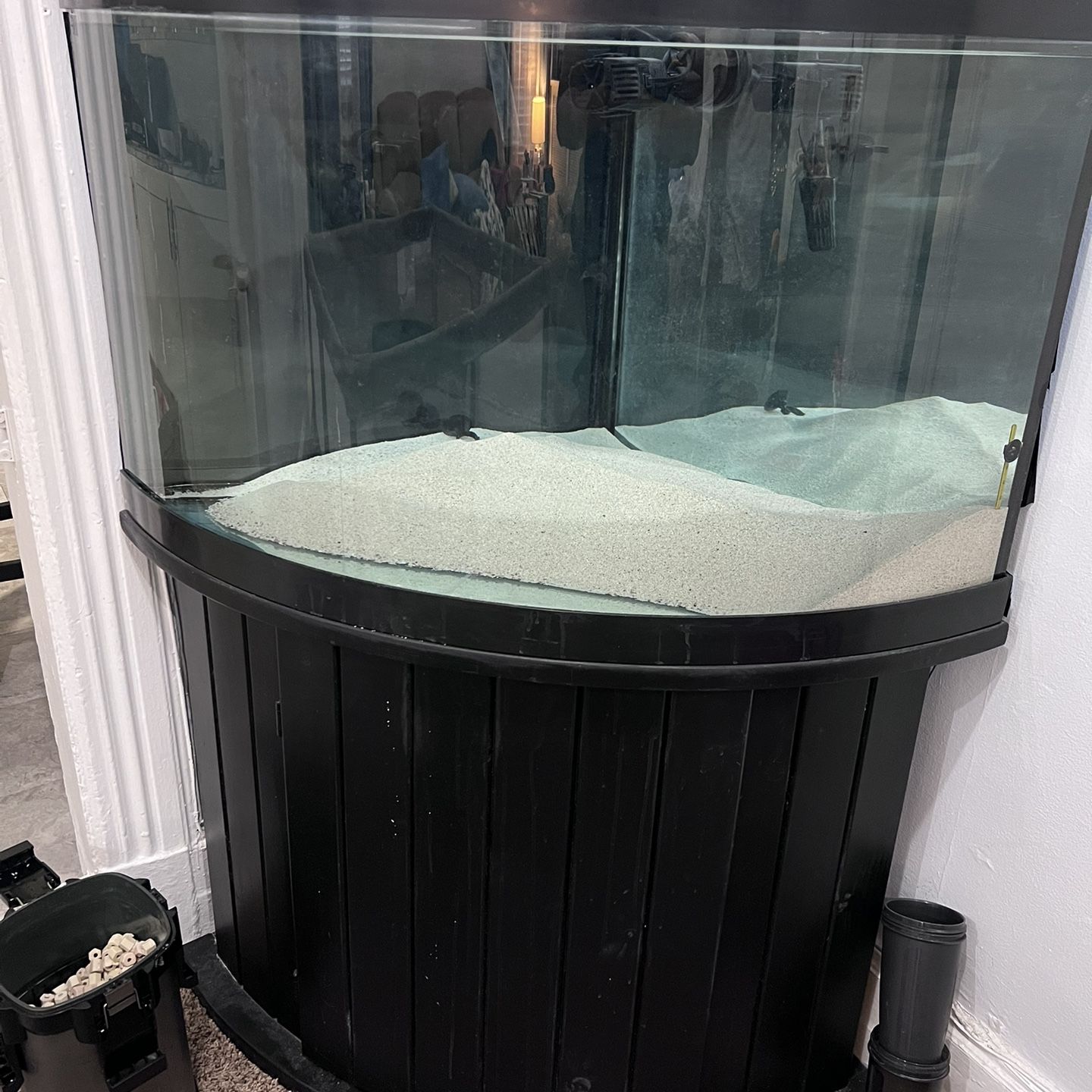 55 qsnap Gallon corner aquarium