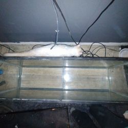 $20 Reptile Glass Enclosure