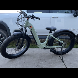 retrospec Electric bike
