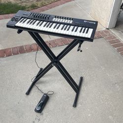 Midi Keyboard With Sustain Pedal (Additional Keyboard Stand Optional)