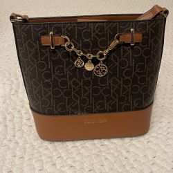 Calvin Klein Purse