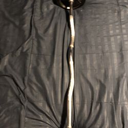Curl Bar With 2 10 Pound Plates 