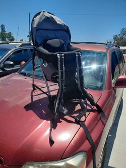 Back carrier
