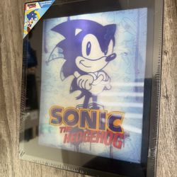 Cuadro Sonic !! Nuevo 