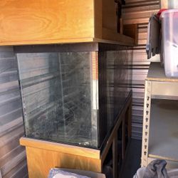 180 Gallon Saltwater Aquarium 