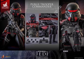 1/6 hottoy