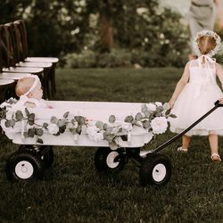 Radio flyer wagon custom