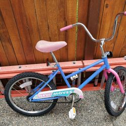 20 Inch Girls Bicycle 
