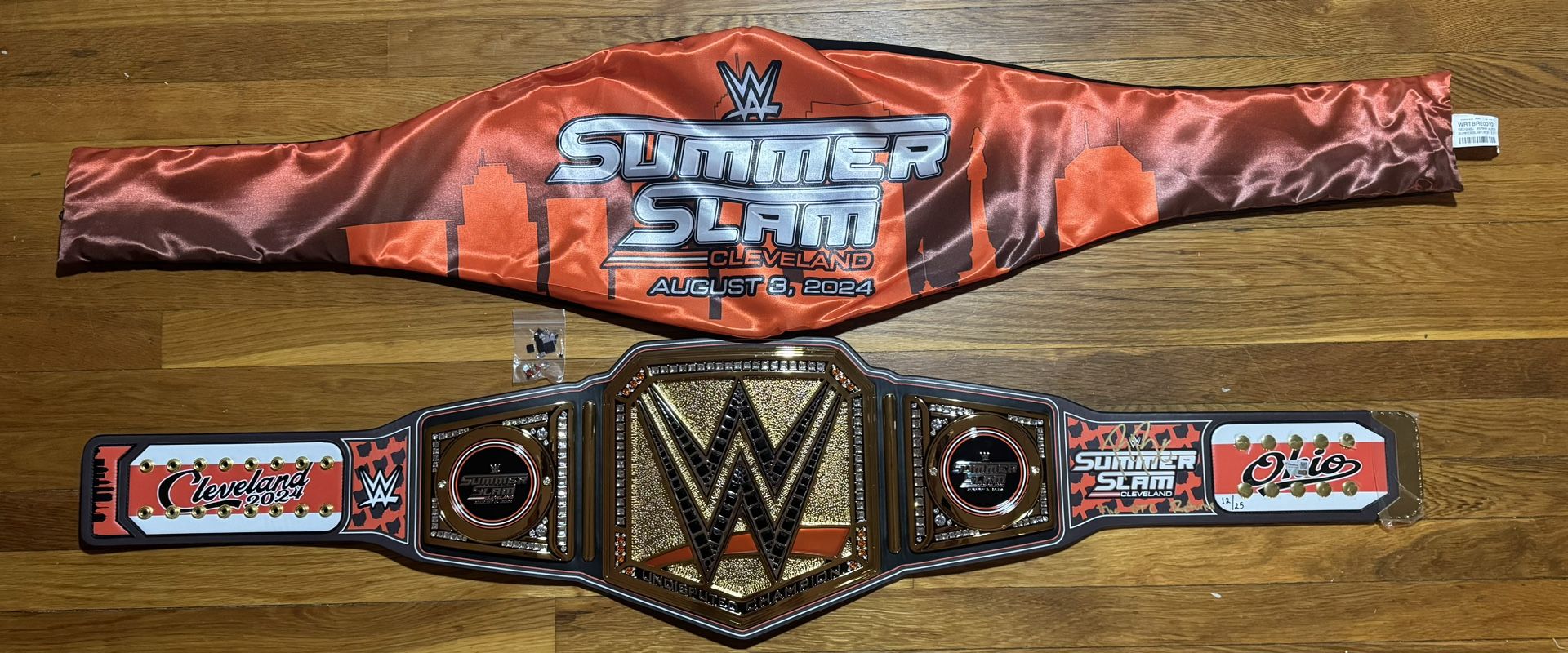 Summerslam 2024 Summerslam Channel WWE SummerSlam 2024 Roman
