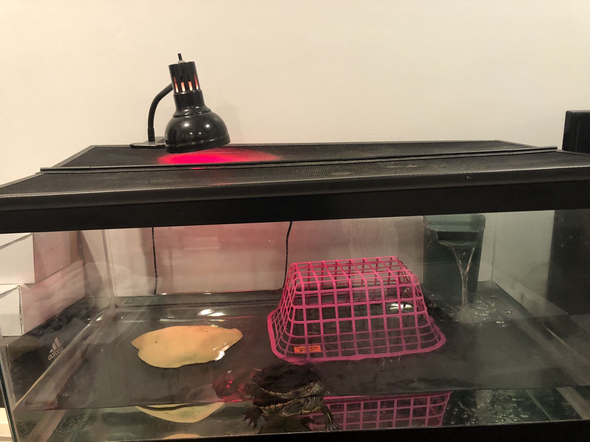 50 gallon turtle or fish tank