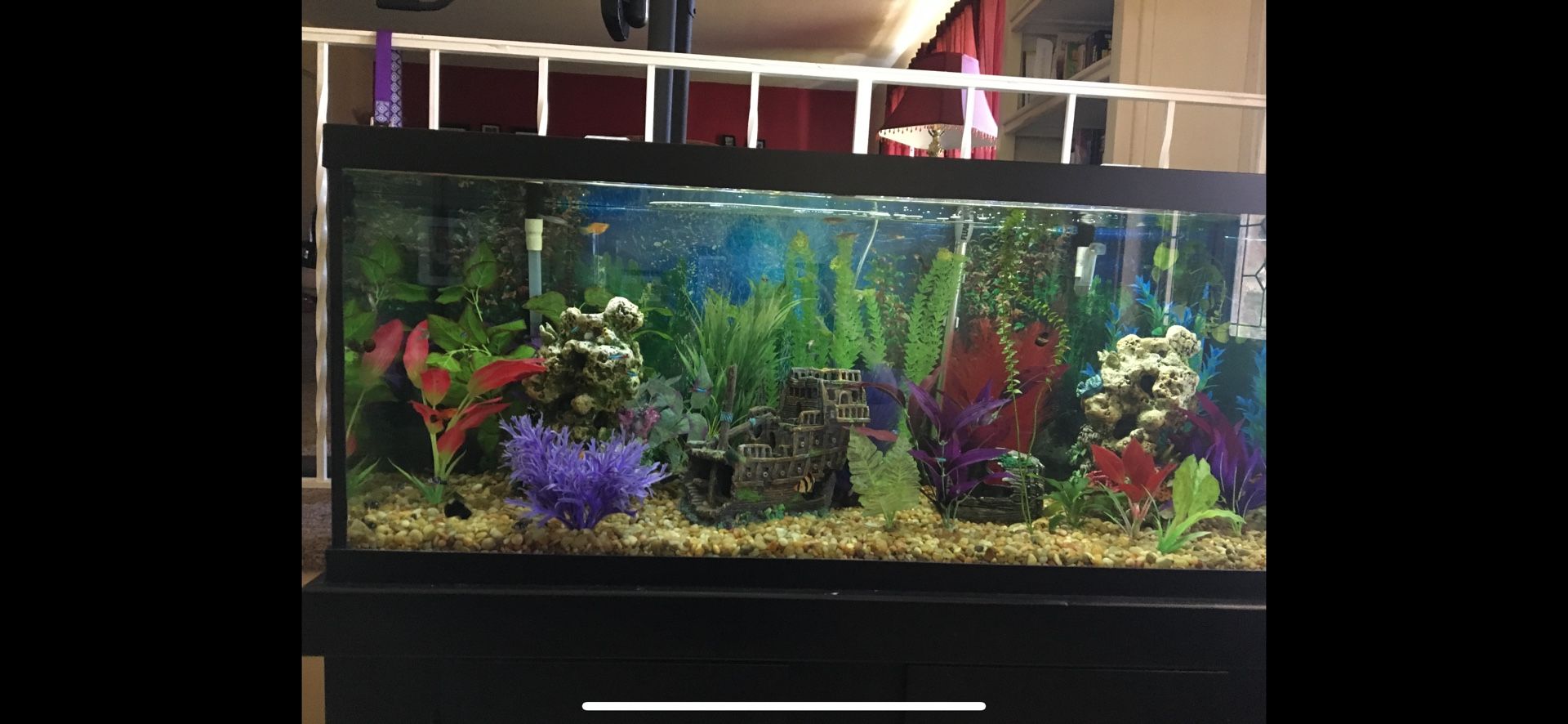 75 Gal Fish Tank