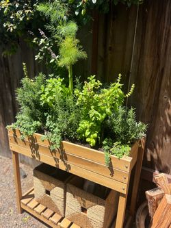 Patio herb garden + furniture 🪴