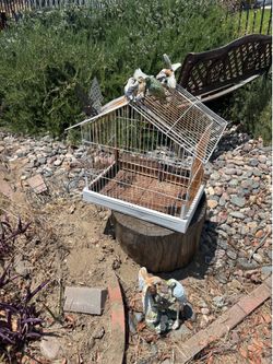 Birds cage