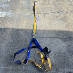 9000 Lb Safety Harness 