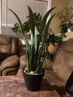 Artificial potted snake plant.  Read description 1st