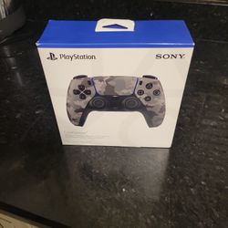 PS5 Controller