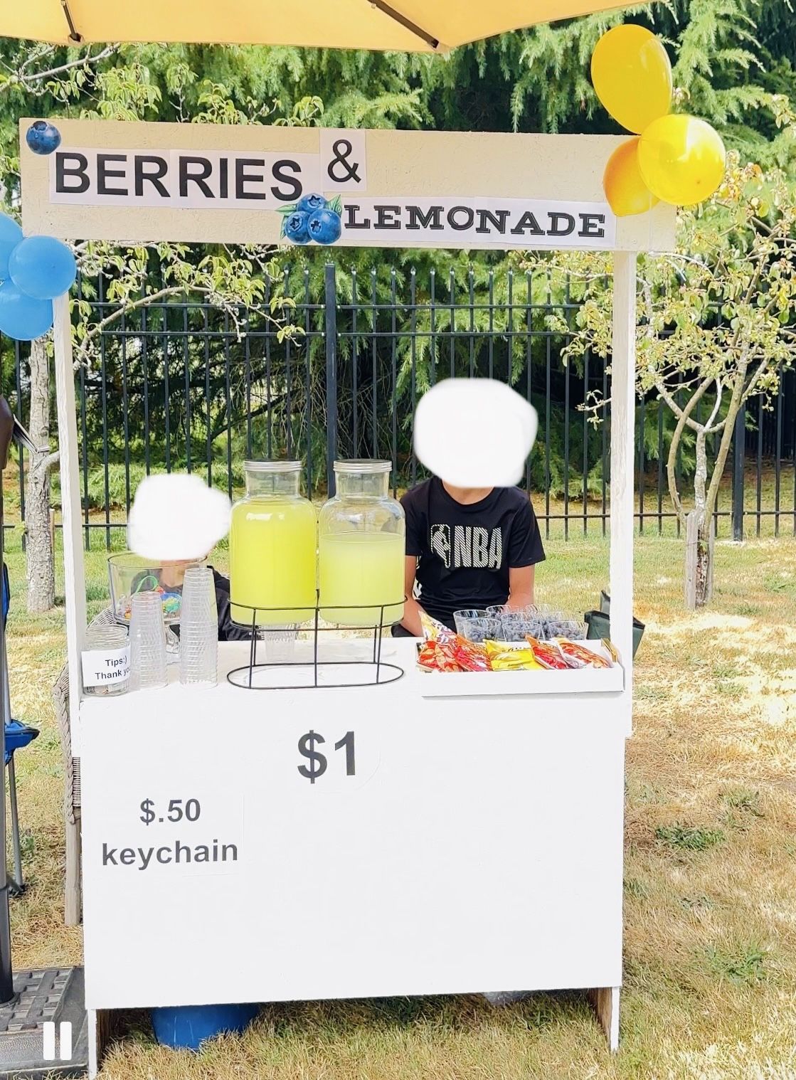 Wooden Lemonade Stand