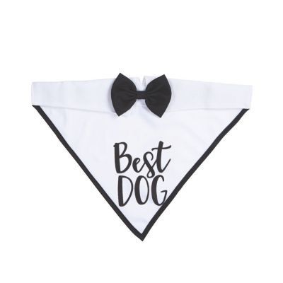 Best Dog Collar/bowtie Bandana
