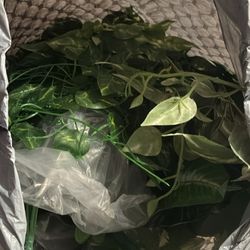 1 garbage bag full of greenery decorations for party (plastic)