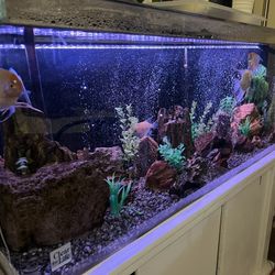 Whole Set 60 Galon aquarium acrylic All Gadget Included