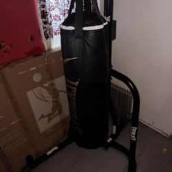 Everlast Punching Bag
