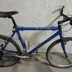 Giant Mountain Bike 