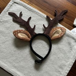 Dog Reindeer Antlers
