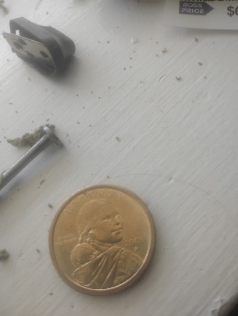 Die Error 2000 2000 P Gold Dollar