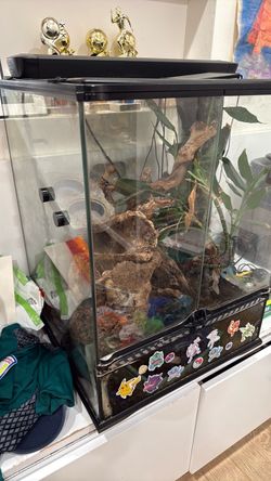 Glass Reptile Terrarium (1.5’ x 1.5’ x 2’)