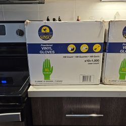 Powered Vinyl Gloves-Xl