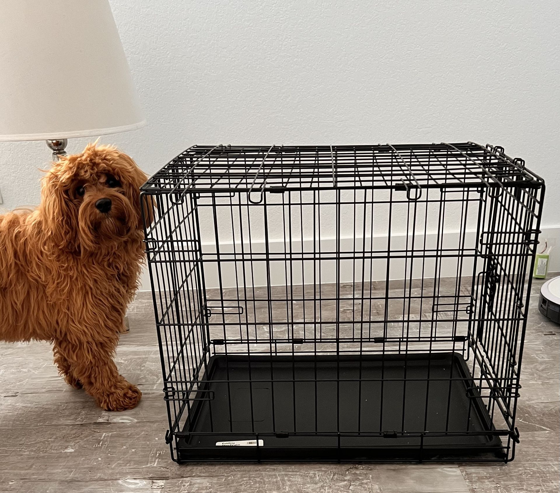 Dog Crate