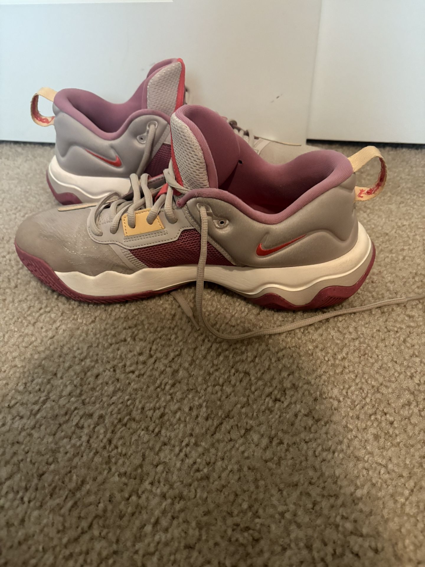 Giannis Pink Colorway 11.5 Us