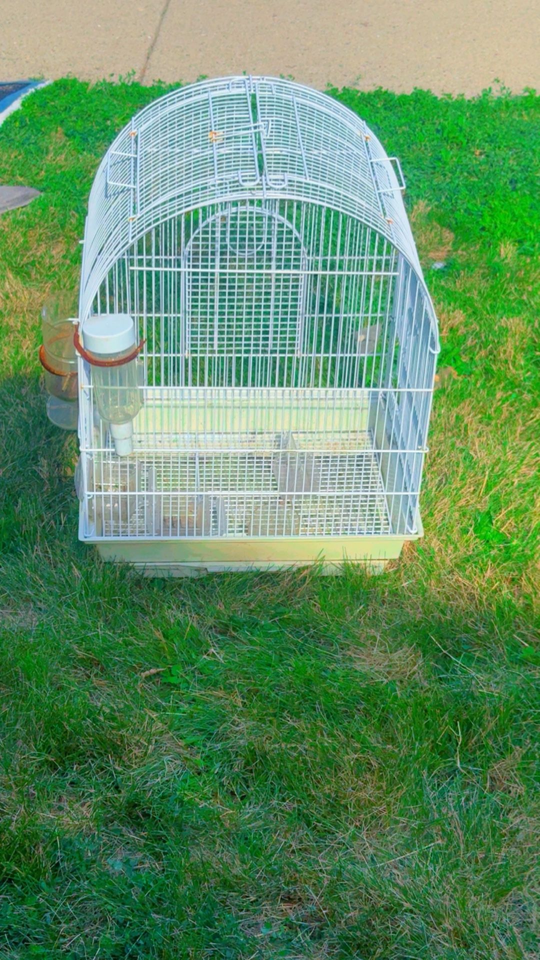 Cage