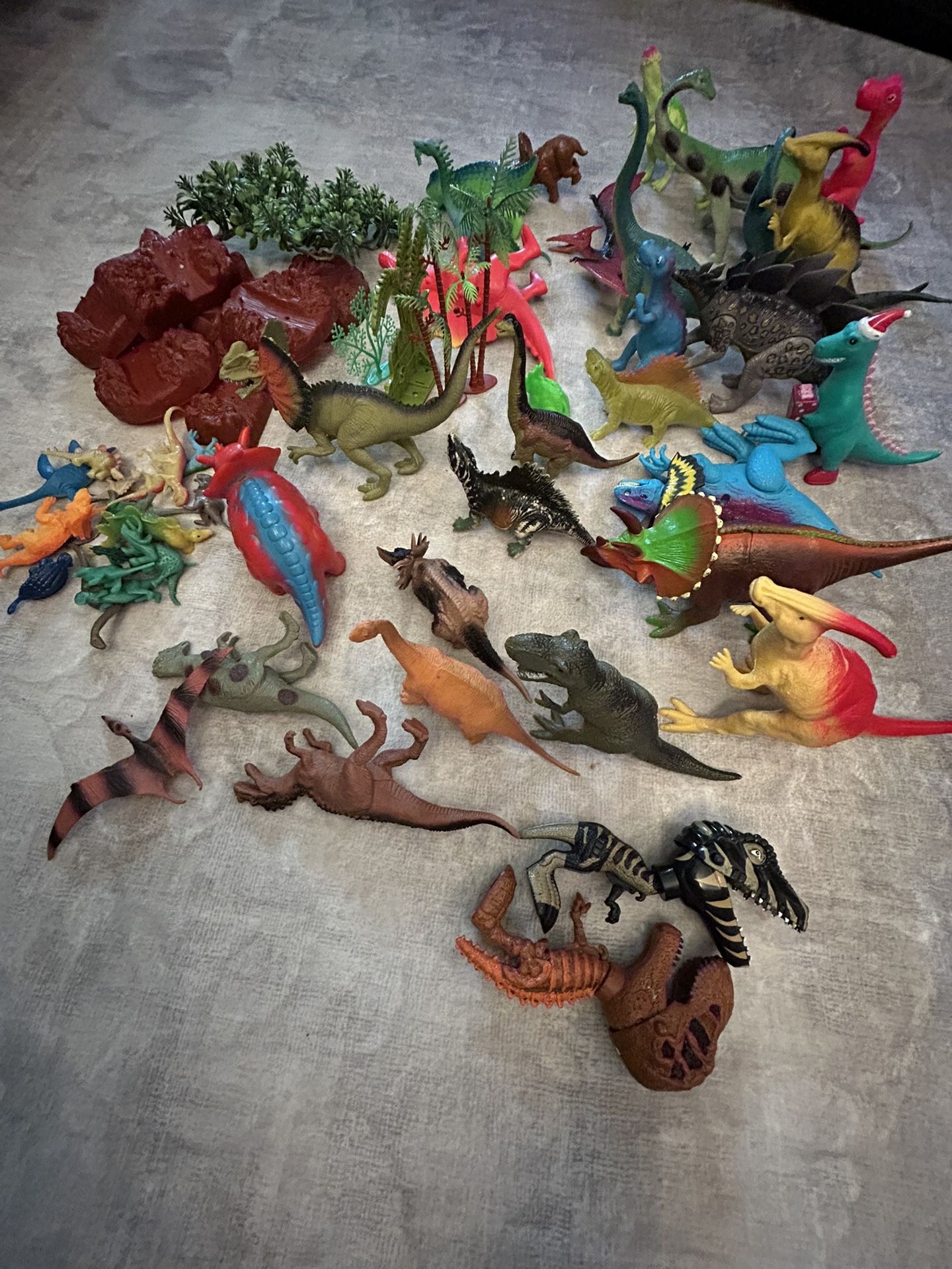Dinosaur Collection -$20