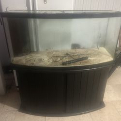 Fish Tank 