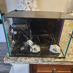 5 Gallon Fish Tank