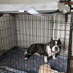Small Dog crate 