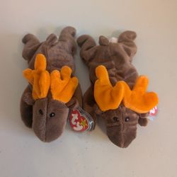 Ty Beanie Babies - Chocolate 