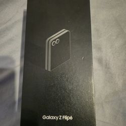 Samsung Flip Phone