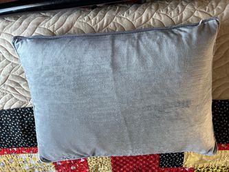 Gray Velvet Throw Pillow