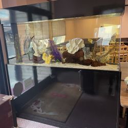 200 Gallon Acrylic Fish Tank W/ Motor