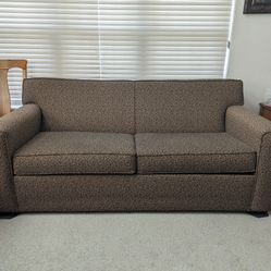 Couch / Foldout Bed 