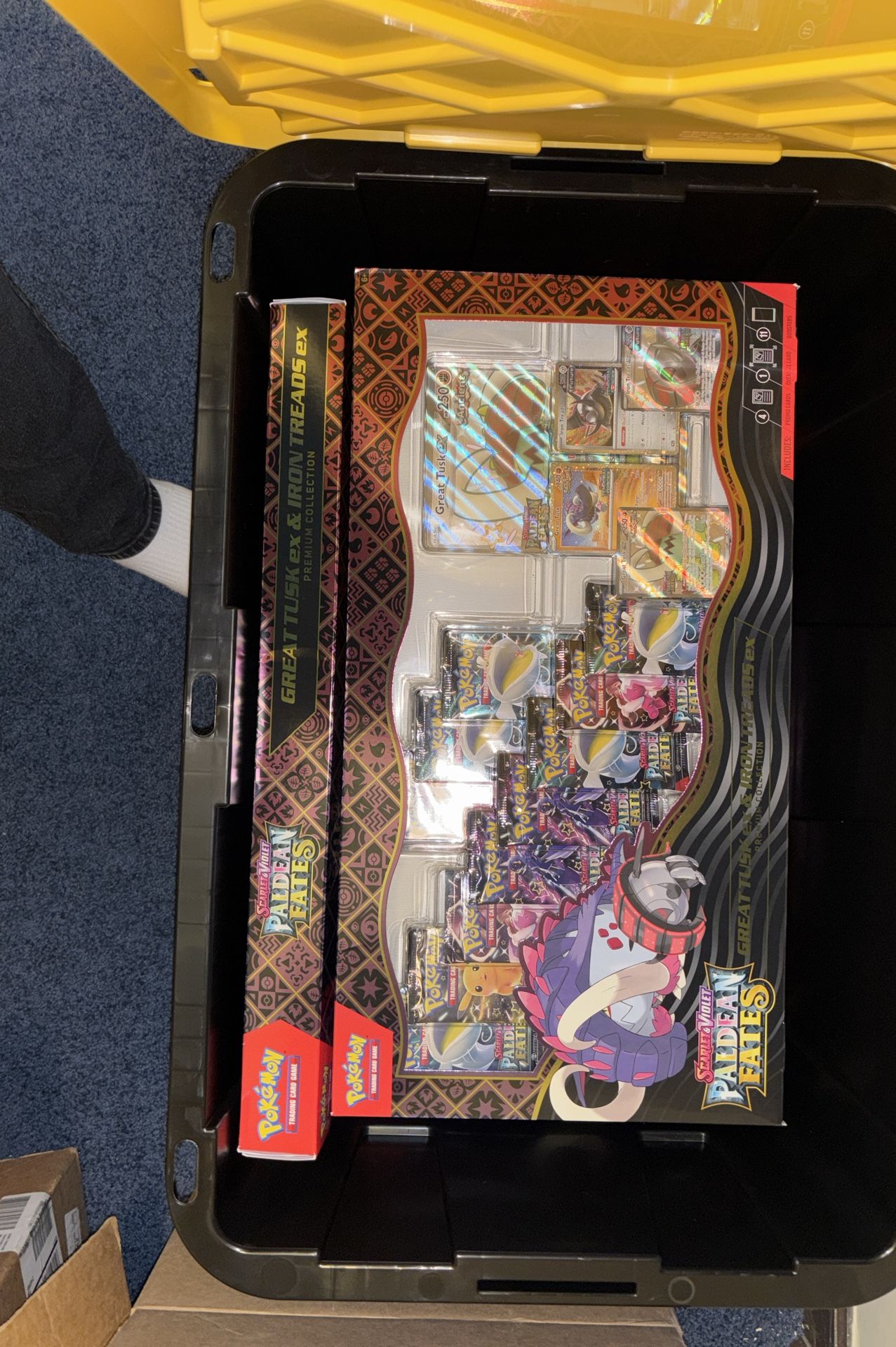 Paldean Fates Great Tusk Iron Treads Premium Collection Box Pokémon Tcg Scarlet, Violet Blooming Waters